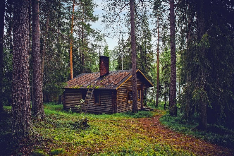 Secluded Forest Cabin
