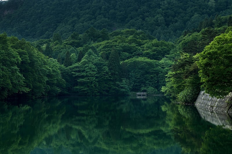 Mountain Eco-Resort